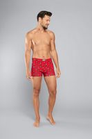 Men's boxers Ernest - beer print