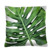 Bertoni Home Unisex's Square Pillow Galapagos Day