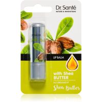 Dr. Santé Shea Butter balzam za ustnice 3,6 g