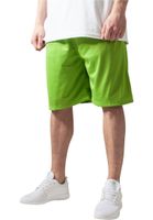 Men's Bball Mesh Shorts Green