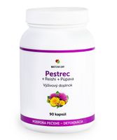 MatchaDay - Pestrec + Reishi + Púpava 90 kapsúl