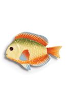 &k amsterdam Tanier &k amsterdam Plate Fish Rainbow