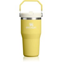 Stanley IceFlow™ Flip Straw 2.0 Tumbler термопляшка з неіржавної сталі Daffodil 590 мл