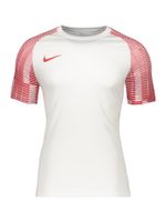 NIKE Tehnička sportska majica 'Academy'  crvena / bijela