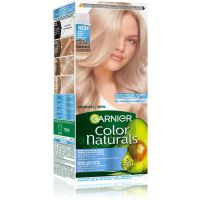 Garnier Color Naturals Creme Juuksevärv varjund 102+ Blond Frosty Silver 1 tk
