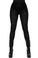 Damen Leggings KILLSTAR - Althea's Evil Velvet XXL