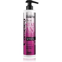 Delia Cosmetics Cameleo Anti Static gladilni šampon 250 ml