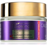 Bielenda Calcium + Q10 Concentrated multi-repair anti-wrinkle cream for the day 50+ dnevna krema proti gubam 50 ml