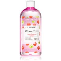 Bielenda Eco Sorbet Raspberry feuchtigkeitsspendendes Mizellenwasser 500 ml