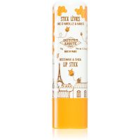 Institut Karité Paris Beeswax & Shea Lip Stick balzam za ustnice z karitejevim maslom z vonjem Vanilla 4 g