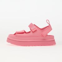 Trampki UGG W Goldenglow Tropical Pink EUR 39
