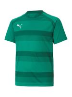 PUMA Tehnička sportska majica 'TeamVision'  zelena / tamno zelena / bijela