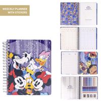 Planer DISNEY 100