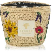 Baobab Collection Vony Ahitra aроматична свічка 500 гр
