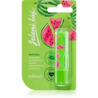 Regina Juicy Summer Watermelon Lippensalbe 4,5 g