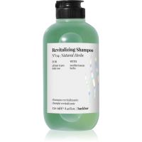 FarmaVita Backbar Revitalizing feuchtigkeitsspendendes und revitalisierendes Shampoo 250 ml