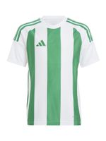 ADIDAS PERFORMANCE Tehnička sportska majica  zelena / bijela