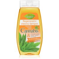 Bione Cosmetics Cannabis regeneračný šampón 260 ml