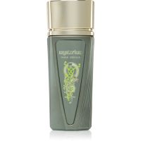 Paris Corner Mysterium parfémovaná voda pro muže 100 ml