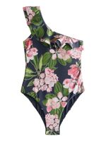 Next Jednodijelni kupaći kostim 'Kew'  zelena / roza / rosé / crna