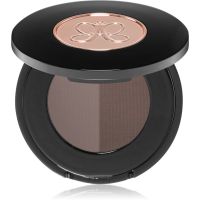 Anastasia Beverly Hills Brow Powder Duo pudră pentru sprâncene culoare Ash Brown 2x0,8 g