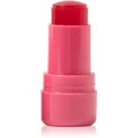 Technic Cosmetics Jelly Tint rdečilo v paličici za ustnice in lica odtenek Red Hot 9 g