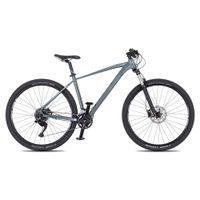Horské kolo 4EVER Frontbee 29'' 10.0 XL (21", 185-202 cm) foggy/silver