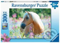 Kůň - puzzle z kategorie 60 - 300 dílků