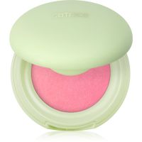 Catrice Pistachio Cream Delight кремові рум'яна відтінок C02 Strawberries & Cream 4.4 гр