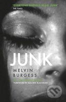 Junk (25th Anniversary Edition) - Melvin Burgess - kniha z kategorie Pro děti
