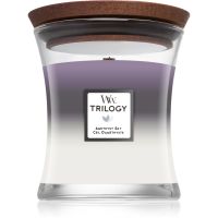 Woodwick Trilogy Amethyst Sky vonná sviečka s dreveným knotom 275 g