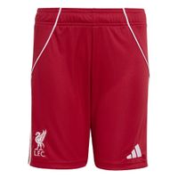 ADIDAS PERFORMANCE Sportske hlače 'FC Liverpool FC 25/26'  crvena / bijela