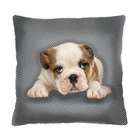 Bertoni Home Unisex's Square Pillow Niunio