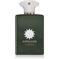 Amouage Purpose Eau de Parfum Unisex 100 ml