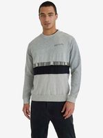 Desigual Suez Sweatshirt Grau