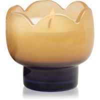 Paddywax Tulip Garden & Grove aроматична свічка 155 гр