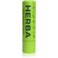 Herbadent Herba balzam za ustnice iz zelišč Herbal 5 ml