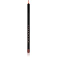 Anastasia Beverly Hills Lip Liner kontúrovacia ceruzka na pery odtieň Liner Mocha 1,49 g