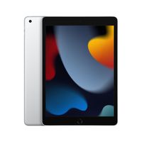 10.2-INCH IPAD WI-FI 256G IPAD WI-FI 256GB SILVER