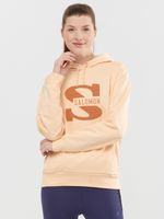 Salomon Sweatshirt Beige