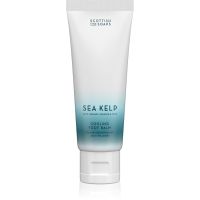 Scottish Fine Soaps Sea Kelp Palsam jalalabadele 75 ml