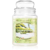 THD Vegetal Muschio Di Montagna αρωματικό κερί 600 γρ