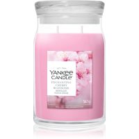 Yankee Candle Enchanting Cherry Blossom aроматична свічка 567 гр