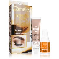 Delia Cosmetics Cameleo profesionalna kremasta barva za obrvi brez amoniaka odtenek 4.0 Brown 15 ml