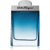 Ferragamo Subtil Pour Homme туалетна вода для чоловіків 100 мл