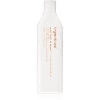 Original & Mineral Maintain The Mane Conditioner tápláló kondícionáló mindennapi használatra 350 ml