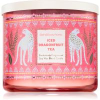 Bath & Body Works Iced Dragonfruit Tea Duftkerze 411 g