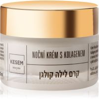 KESEM Night Cream with Collagen Nakts krēms ar kolagēnu 50 ml
