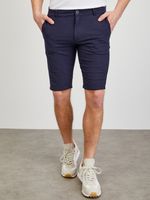 ZOOT.lab Gavin Shorts Blau