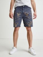 Desigual Fred Shorts Grau